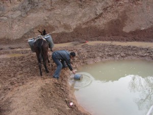 村民从简易水池中取水